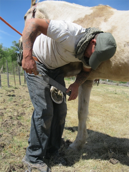 Young man workng with a horse's shoe.